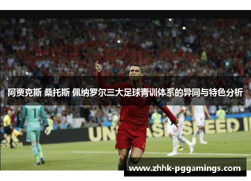 阿贾克斯 桑托斯 佩纳罗尔三大足球青训体系的异同与特色分析