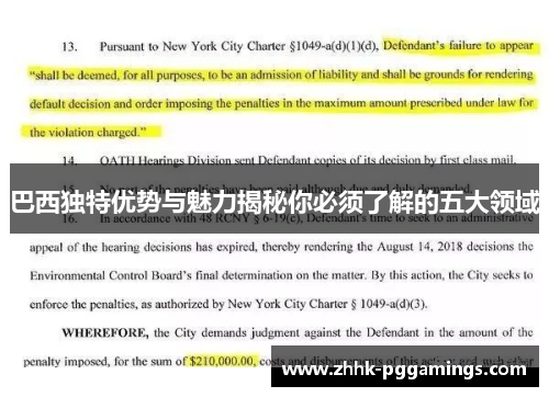 巴西独特优势与魅力揭秘你必须了解的五大领域