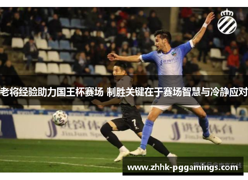 老将经验助力国王杯赛场 制胜关键在于赛场智慧与冷静应对